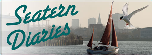 Seatern Diaries Banner